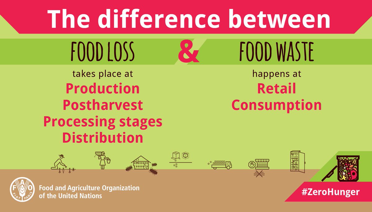 Living well in the 21st century. Limassol, Cyprus. Food-Loss-vs-Food-Waste diagram by FAO. 