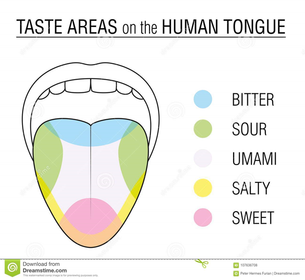 Living well in the 21st century - Limassol, Cyprus - a picture of a tongue that says, " taste areas on the human tongue. There are highlighted parts - bitter, sour, umami, salty, sweet - with different color highlights on the tongue. 