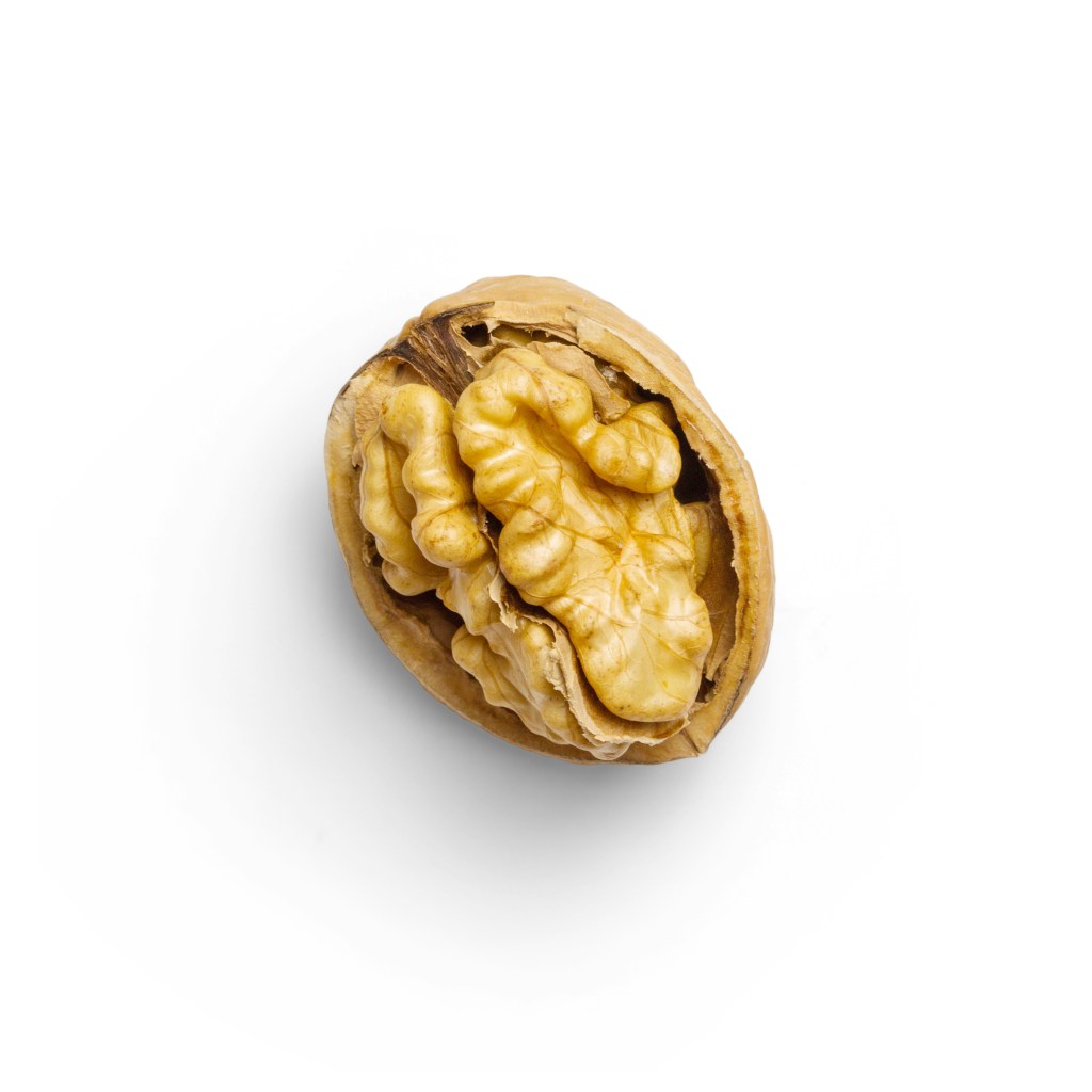 Living well in the 21st century-Limassol, Cyprus. Walnut in a shell with a white background. 