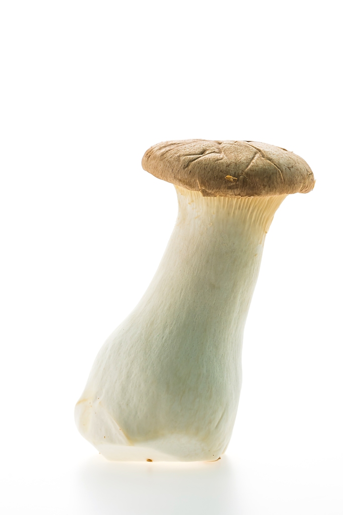 Living well in the 21st century-Limassol, Cyprus. Mushroom isolated on white background.